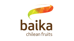 Baika